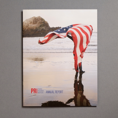 PRIAnnualReportCover960